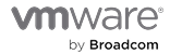 vmware